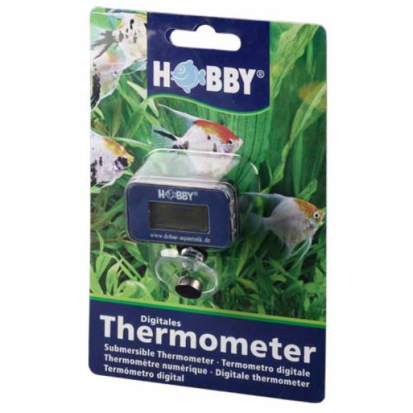 Digitales Thermometer